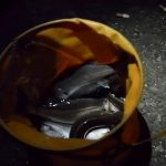 【釣り】東京都「若洲海浜公園」大人気の釣り場!BBQやキャンプも可能!夜景の撮影スポット!【P500】