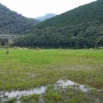 【キャンプ】高知「橘キャンプ場(無料)」