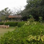 【キャンプ】香川県【無料】橘ノ丘総合運動公園キャンプ場【P無料】アウトドア2017