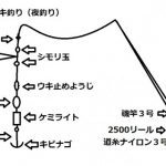 タチウオ電気ウキ仕掛け(夜釣り)