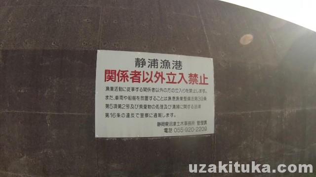 静浦漁港の釣り場 釣り人立入禁止 静岡県3月 釣りと車中泊のツカさん