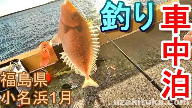 アイゴしか釣れなかった真冬の小名浜 釣り車中泊 福島県小名浜1月 釣りと車中泊のツカさん アイゴしか釣れなかった真冬の小名浜 釣り車中泊 福島県小名浜1月 釣りと車中泊のツカさん