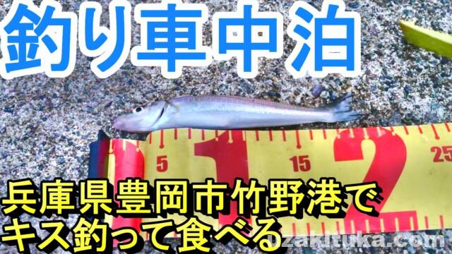 釣り車中泊 竹野港 兵庫県豊岡市 釣りと車中泊のツカさん 釣り車中泊 竹野港 兵庫県豊岡市 釣りと車中泊のツカさん